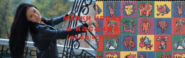 мяу мяу мука Арсеньев